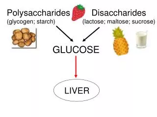 Polysaccharides (glycogen; starch)