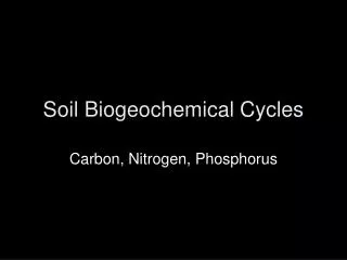 Soil Biogeochemical Cycles