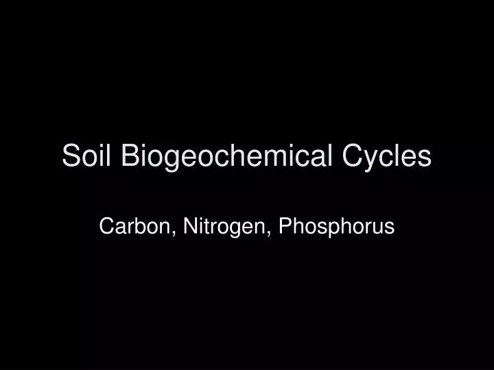soil biogeochemical cycles