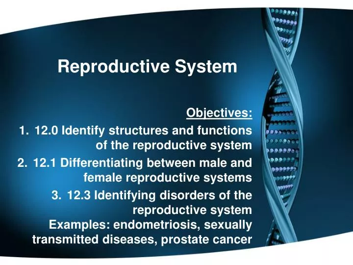 reproductive system