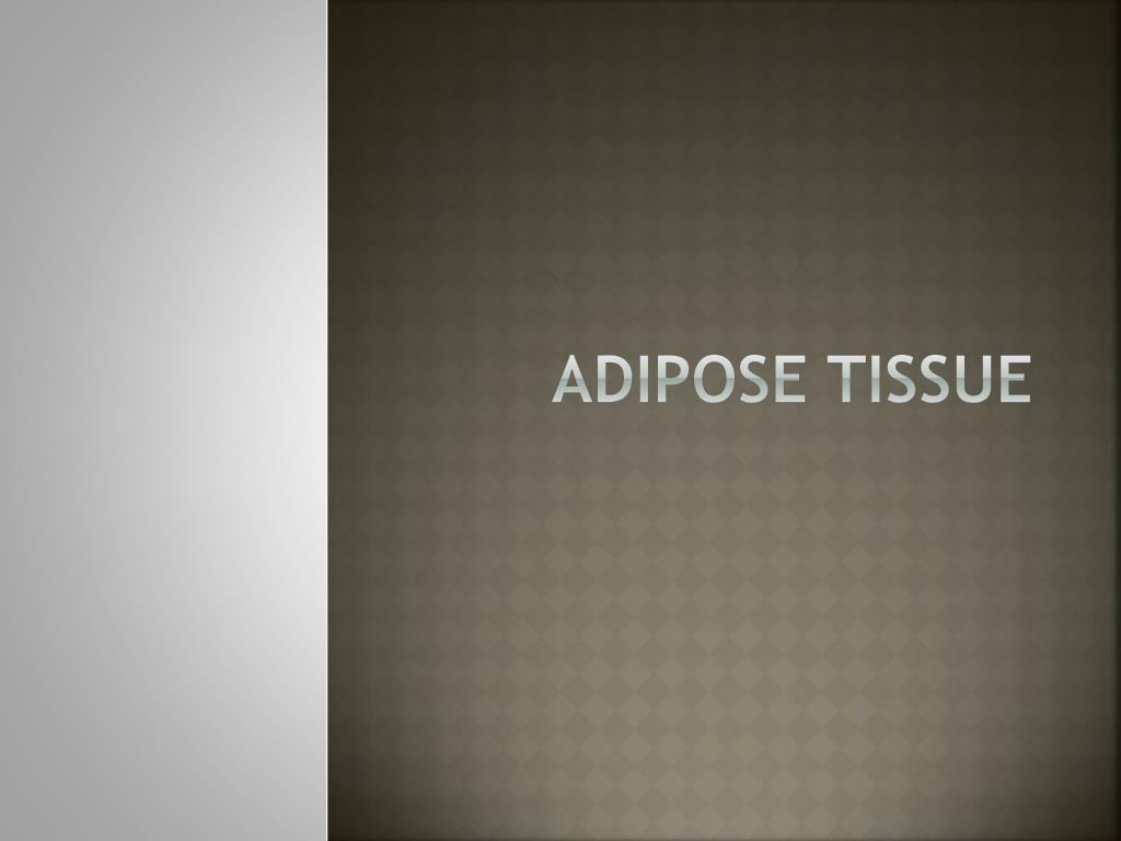 PPT - Adipose Tissue PowerPoint Presentation, free download - ID:1773810