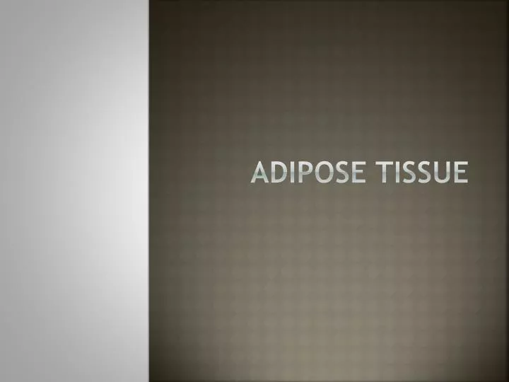 adipose tissue