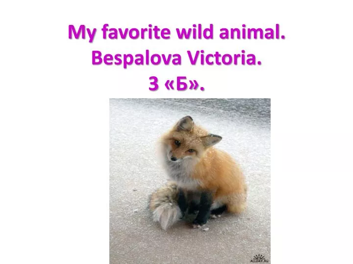 my favorite wild animal bespalova victoria 3