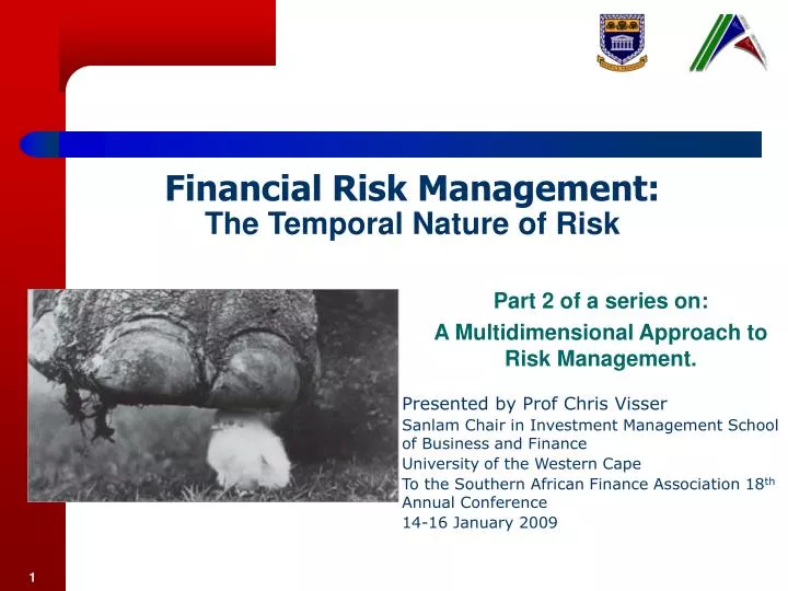 financial risk management the temporal nature of risk