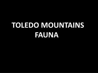 TOLEDO MOUNTAINS FAUNA