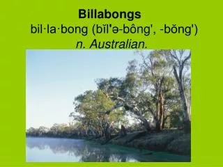 Billabongs	 bil·la·bong (bĭl ' ə-bông', -bŏng') n. Australian.