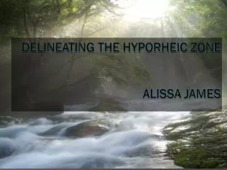 Delineating the Hyporheic Zone Alissa jameS