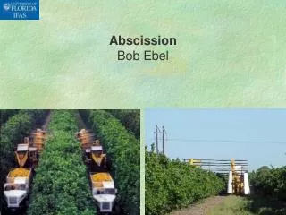 Abscission Bob Ebel