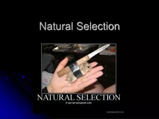 natural selection