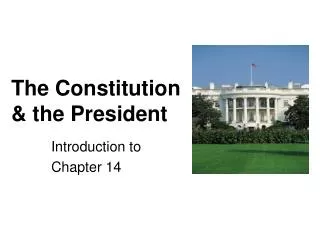 The Constitution &amp; the President