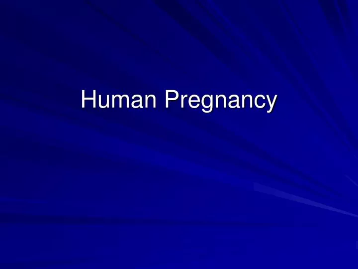 human pregnancy