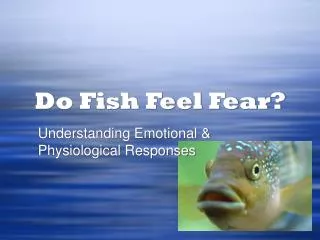 Do Fish Feel Fear?