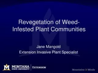 Revegetation of Weed-Infested Plant Communities