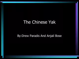 The Chinese Yak