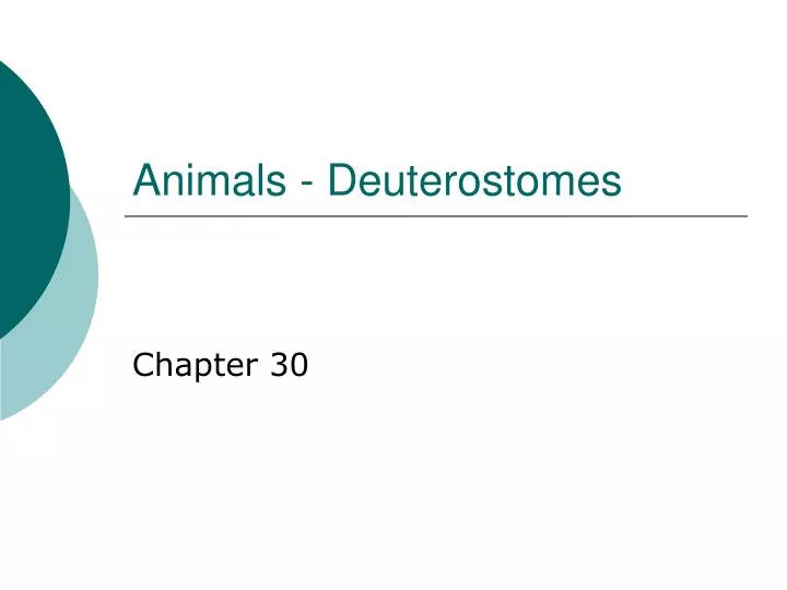 animals deuterostomes