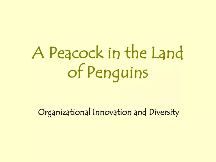 a peacock in the land of penguins