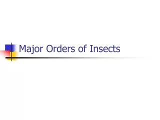 Major Orders of Insects