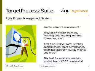 TargetProcess:Suite