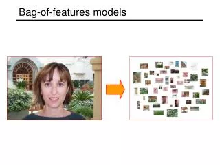 Bag-of-features models