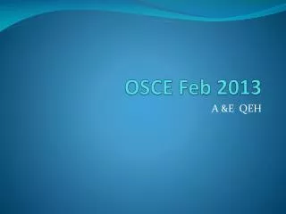 OSCE Feb 2013