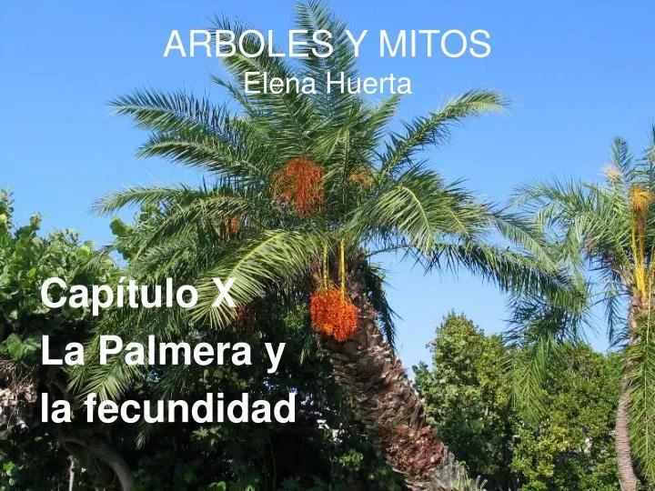 arboles y mitos elena huerta