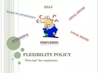 FLEXIBILITY POLICY