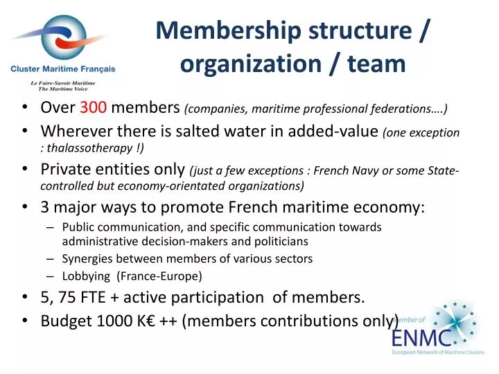 membership structure organization team