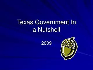 Texas Government In a Nutshell