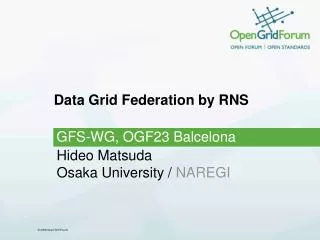 Data Grid Federation by RNS