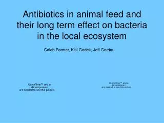 Antibiotics in animal feed and their long term effect on bacteria in the local ecosystem