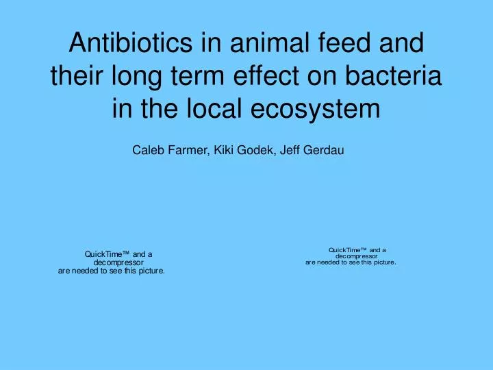 antibiotics in animal feed and their long term effect on bacteria in the local ecosystem