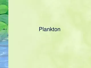 Plankton