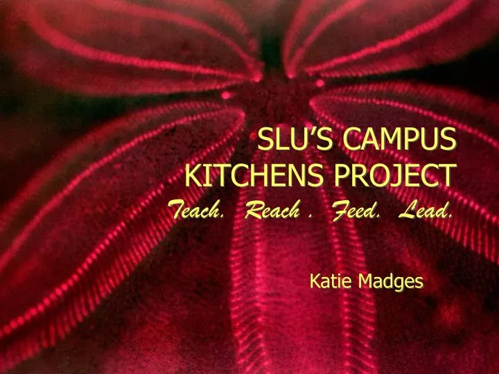 slu s campus kitchens project teach reach feed lead