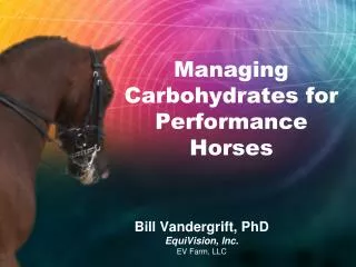 Managing Carbohydrates for Performance Horses