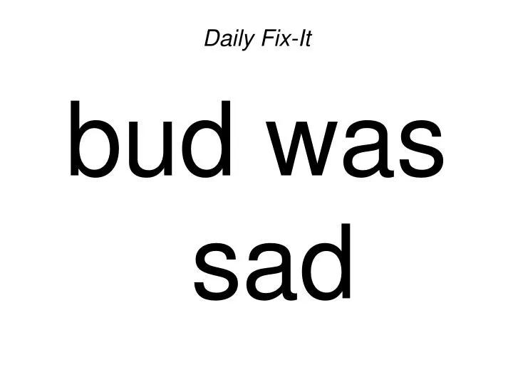daily fix it bud was sad
