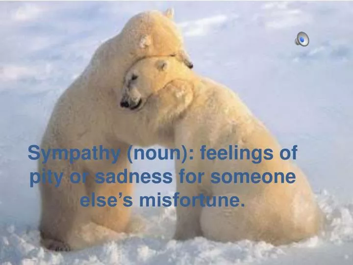sympathy noun feelings of pity or sadness for someone else s misfortune