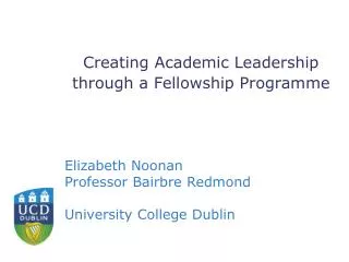 Creating Academic Leadership through a Fellowship Programme