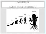 Evolution Evidence of Evolution