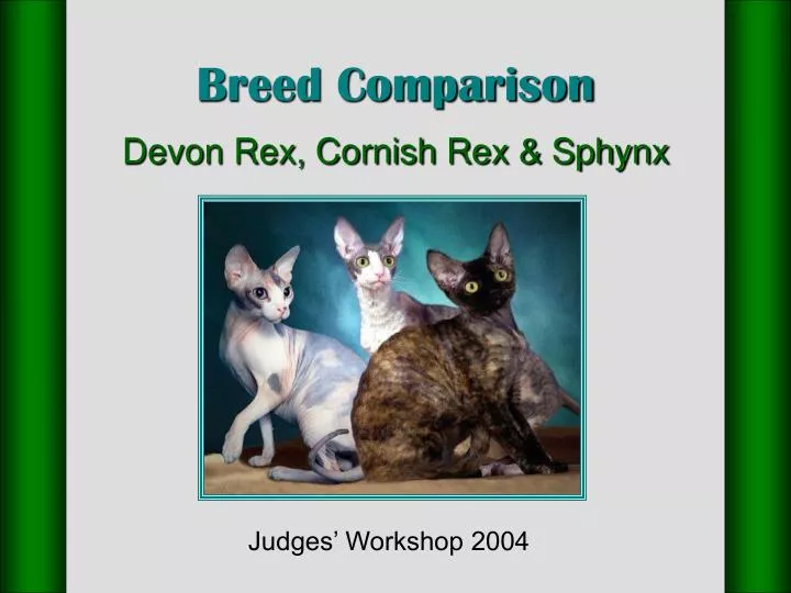 breed comparison