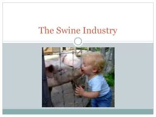 The Swine Industry