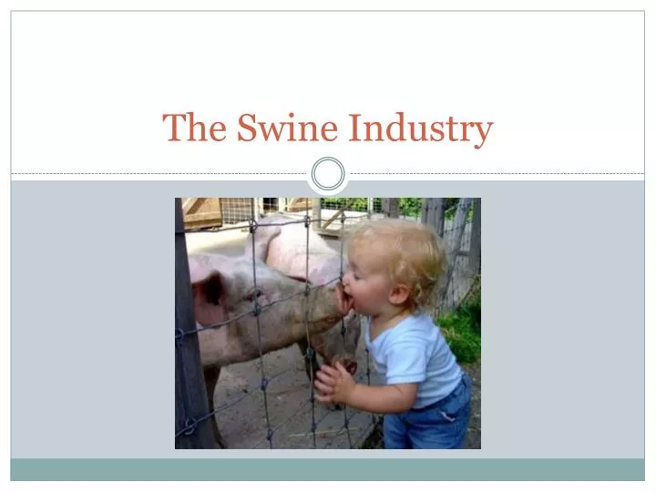 the swine industry