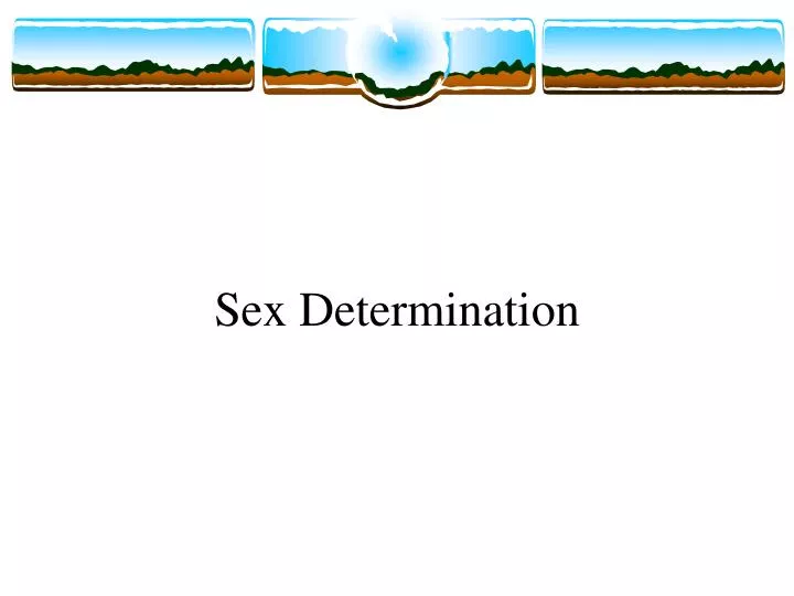 sex determination