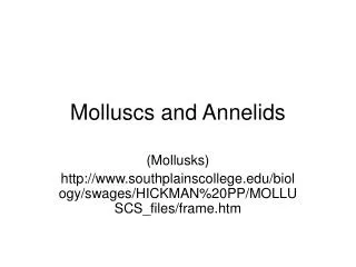 Molluscs and Annelids