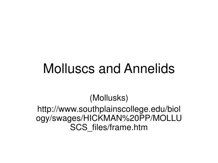 molluscs and annelids