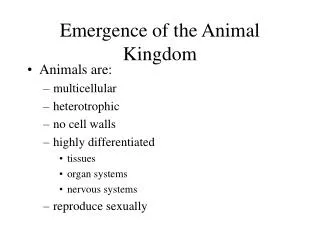 Emergence of the Animal Kingdom