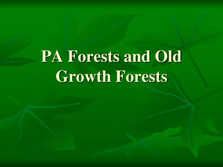 pa forests and old growth forests