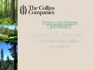 Business Environment A Look into the Collins Companies