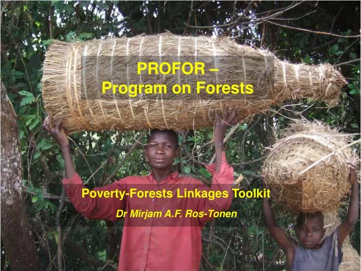 profor program on forests