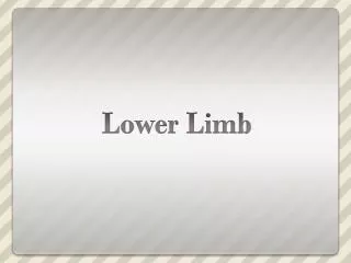 Lower Limb