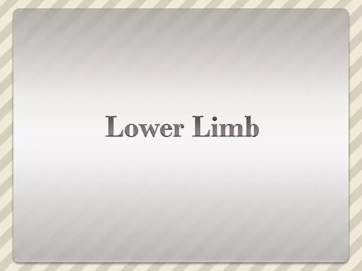 lower limb